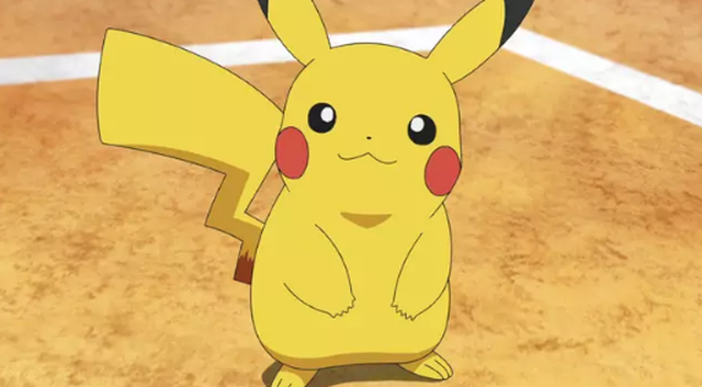 Sinh vật lông vàng ở Úc được mệnh danh Pikachu ngoài đời thực - 2
