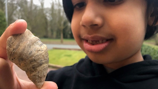 Cậu bé 6 tuổi bất ngờ tìm thấy loại san hô thời đại Cổ sinh - 1