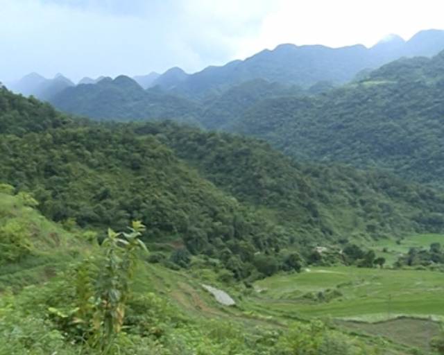Khu bảo tồn thiên nhiên Pù Luông Thiên đường xanh giữa lòng xứ Thanh Khu bảo tồn thiên nhiên Pù Luông