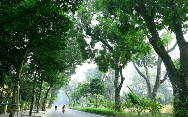 Ảnh minh họa Ảnh minh họa