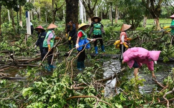 Công nhân vệ sinh dọn dẹp cành cây bị gãy trên đường Tân Hải thành phố Hải Khẩu ngày 7-9. Ảnh: Tân Hoa xã
