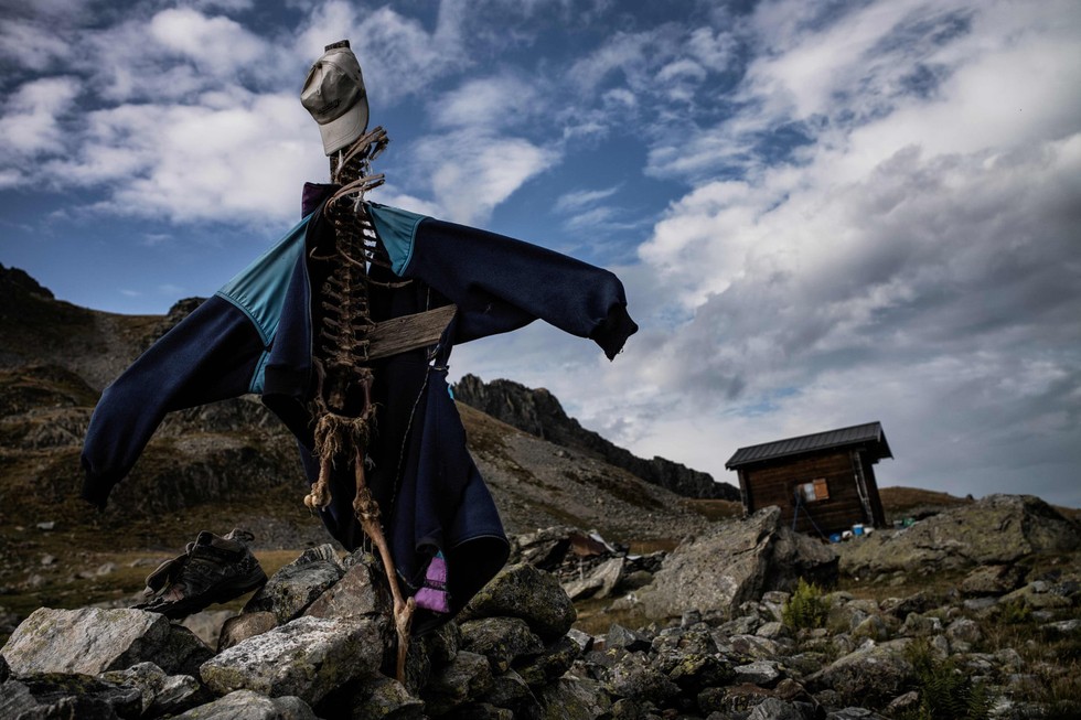 Theo chân người chăn cừu trên vùng đồng cỏ núi Alps - Ảnh 5. Theo chân người chăn cừu trên vùng đồng cỏ núi Alps - Ảnh 5.
