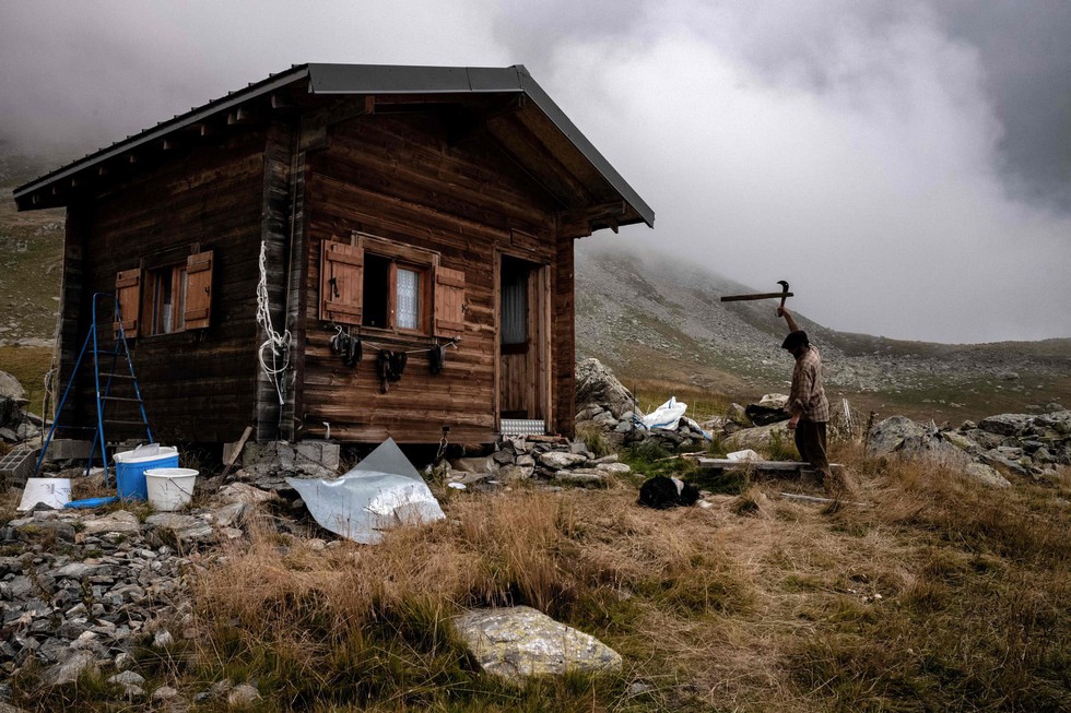 Theo chân người chăn cừu trên vùng đồng cỏ núi Alps - Ảnh 7. Theo chân người chăn cừu trên vùng đồng cỏ núi Alps - Ảnh 7.
