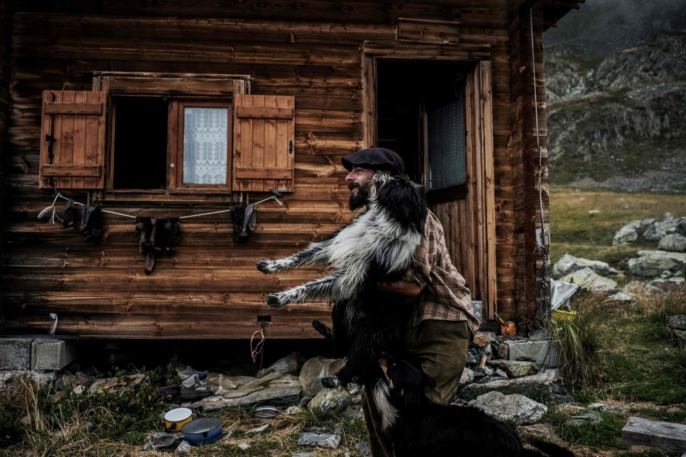 Theo chân người chăn cừu trên vùng đồng cỏ núi Alps - Ảnh 8. Theo chân người chăn cừu trên vùng đồng cỏ núi Alps - Ảnh 8.
