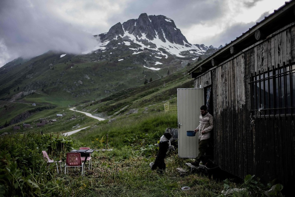 Theo chân người chăn cừu trên vùng đồng cỏ núi Alps - Ảnh 9. Theo chân người chăn cừu trên vùng đồng cỏ núi Alps - Ảnh 9.