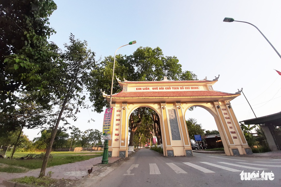 Hàng cây xà cừ hơn nửa thế kỷ trên quê hương Bác Hồ - Ảnh 2. Hàng cây xà cừ hơn nửa thế kỷ trên quê hương Bác Hồ - Ảnh 2.