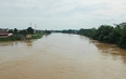 Cảnh báo lũ trên các sông khu vực Thanh Hóa