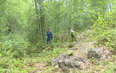 Huyện Lang Chánh tăng cường bảo vệ rừng