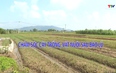 Khuyến nông 14/10/2025