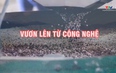 Phóng sự: Vươn lên từ công nghệ