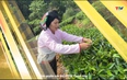 Ký sự miền sơn cước ngày 25/4/2025