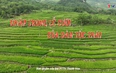 Sắc màu các dân tộc xứ Thanh: Khặp trong lễ cưới của dân tộc Thái