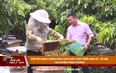 Thanh Hóa ngày mới ngày 17/5/2025