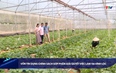 Bản tin Tài chính thị trường ngày 21/5/2025