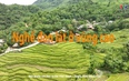 Ký sự miền sơn cước: Nghề đan lát ở vùng cao