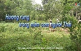 Sắc màu các dân tộc xứ Thanh: Hương rừng trong mâm cơm người Thái