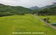 Thanh Hóa - Góc nhìn từ trên cao: Hương quê