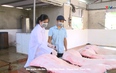 Bản tin Thời sự 16h ngày 23/7/2025