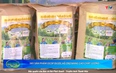 Bản tin Nông nghiệp – Nông thôn ngày 30/7/2025