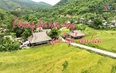 Sắc màu các dân tộc xứ Thanh: Những đóa hoa rừng giữ “lửa” văn hóa