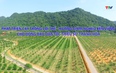Chuyên mục Dân tộc miền núi 12/04/2026