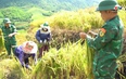 Biên phòng toàn dân ngày 15/5/2026