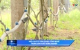 Khoa học và đời sống ngày 4/5/2026