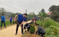 Đoàn viên Đài PT-TH Thanh Hóa ra quân trồng cây xanh tại huyện Ngọc Lặc