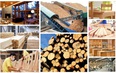 Phấn đấu giá trị xuất khẩu gỗ, lâm sản đạt 20 tỷ USD vào năm 2025