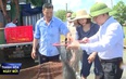 Nông dân huyện Triệu Sơn phát triển nuôi trồng thủy sản theo hướng hàng hóa