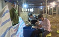 Thanh Hoá chủ động phòng chống dịch cúm gia cầm