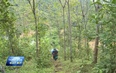 Tăng cường quản lý bảo vệ rừng, xử lí tình trạng phá rừng, lấn chiếm đất rừng trái pháp luật