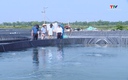 Huyện Nga Sơn đẩy mạnh phát triển kinh tế biển