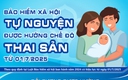 Bảo hiểm xã hội tự nguyện được hưởng chế độ thai sản từ 01/7/2025