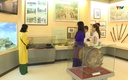 Bảo tàng tỉnh Thanh Hóa - Giữ gìn và lan tỏa giá trị di sản