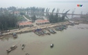 Mong chờ phát huy hiệu quả Cảng cá Hoằng Phụ