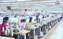 Dệt may Việt Nam bứt phá bằng xanh hóa - số hóa    