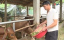 Hiệu quả chương trình đầu tư tín dụng theo Nghị quyết 30a
