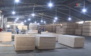 Đảm bảo sức khỏe người lao động trong mùa hè