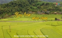Thanh Hóa - Góc nhìn từ trên cao: Bay trên mùa vàng
