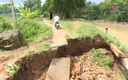 Nhiều sự cố trên các công trình thủy lợi sau bão số 5 vẫn chưa được khắc phục