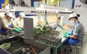 Dự báo quý III tăng trưởng GDP của Việt Nam có thể đạt 8,6 - 8,9%