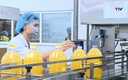 Phát triển ngành công nghiệp hỗ trợ 