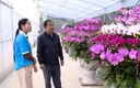 Xã Thường Xuân làm giàu từ trồng hoa lan