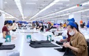 Doanh nghiệp xuất khẩu Thanh Hóa linh hoạt vượt khó, giữ nhịp tăng trưởng