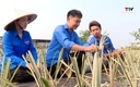 Lan tỏa phong trào thanh niên phát triển kinh tế ở Thiệu Trung