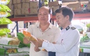 Tăng cường quản lý giống cây trồng vụ Mùa 2026