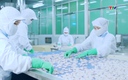 Mỹ áp thuế 25,76% đối với 132 doanh nghiệp tôm Việt Nam
