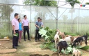 Tín dụng chính sách tạo việc làm, nâng cao thu nhập cho người dân 