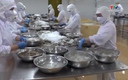 Hoa Kỳ tăng cảnh báo sở hữu trí tuệ với doanh nghiệp xuất khẩu thủy sản